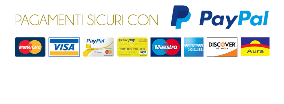 icona pagamenti sicuri carte di credito